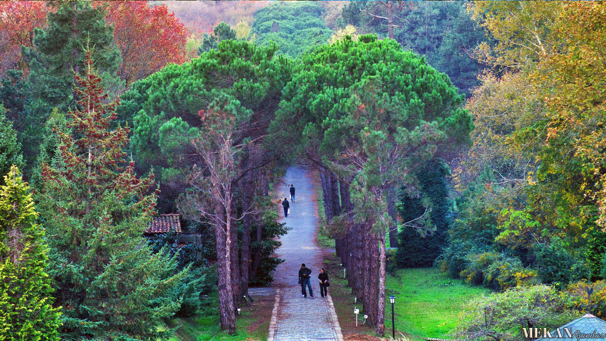 Atatürk Arboretumu Fotoğraf Galerisi